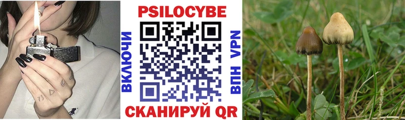 Галлюциногенные грибы Cubensis  нарко площадка как зайти  Кинешма 